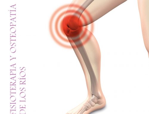 Artrosis o gonartrosis de rodilla